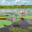 4pcs Aquatic Plant Grow Bags, 7.3x7.3in Reusable Breathable Seed Starter Bags PVC Pond Basket Seedling Pots Container Plants Pouch for Water Lily Vegetables Fruits Flowers Saplings Potato (Black)
