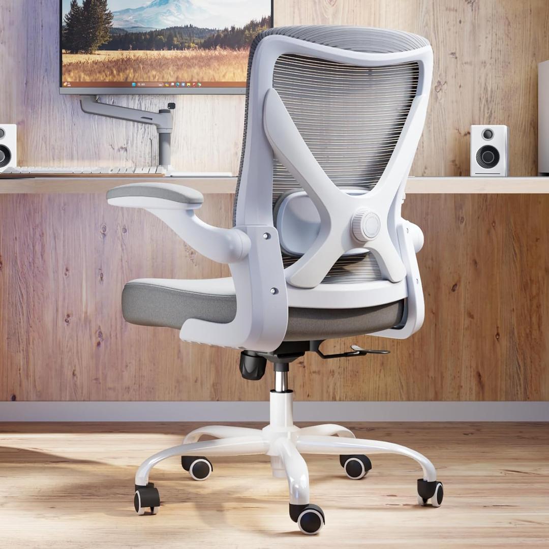 Ergonomic Office Chair with Lumbar Support - Adjustable Computer Desk Chairs for Home Office, Gaming, and Work - Comfortable and Supportive Desk Chairs for Adults(Grey)
