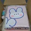 Pink Kids Play Tent with Mat, Cloud and Ball Lights Large Playhouse for Children and Girls Princess Castle Tent for Bed- Indoor & Outdoor Camping Tent(Cloth Door & Metal Rack)