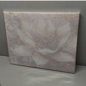 Paint by Numbers Kit for Adults Beginners Canvas Pictures with Framed Drawing Painting Acrylic Pigment