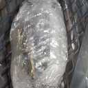 ECOTRIC 46.2 X 26.8 X 38.7 Inch Hitch Cargo Carrier W/Ramp Foldable 500 Lbs Trailer Hitch Mount Steel Wheelchair Carrier Mobility Scooter Ramp 2" Hitch Receiver for Snow Blower SUV Truck Van Car