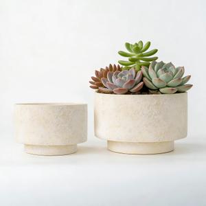 Succulent Pots, 8 Inch + 6 Inch Plant Pots for Plants with Drainage Hole, Indoor Outdoor Ceramic Planter, Set of 2 Round Flower Pots for Succulent and Plants, Beige