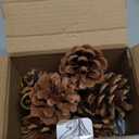 Highly Scented Cinnamon Pinecones - Varied Sizes Perfect for Vase Fill, DIY Crafts and Projects - Traditional and Rustic Kitchen Dcor or Fall, Thanksgiving and Holiday Decorations