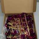 20PCS Artificial Colorful Flowers Galaxy Rose Crystal Flower Glass Rose Gifts for Wedding, Mother' s Day Memorable Days, Red