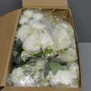 Jexine 24 Bundles Silk Artificial Peonies Flowers Faux Peony Bouquet Fake Peonies Artificial Flowers Bouquets for Vase Floral Arrangements Wedding Home Table Decoration (White, Champagne)