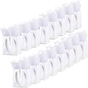 Tenare 12 Pcs Small Gift Bags Mini Paper Bag with Handle Tissue Happy Mother Father's Day Party Favor Supplies(4 x 2.75 x 4.5 Inch,White)