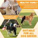 Dog Knee Brace for Hind Leg Adjustable Rear Leg Support with 2 PP Resin Bars, Helps Torn ACL, Ligament Injuries, Luxating Patella & Hip Dysplasia Recovery for Left/Right Hind Leg (S)