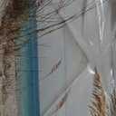 Coastal Framed Wooden Wall Art: Beach Art Ocean Prints Set of 4 Starfish Pictures Seascape Artwork for Living Room Overall 48"W x 32"H