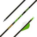 Gold Tip .246 Hunter XT 100% Carbon Hunting Arrows, 340 6 packs