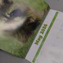 Turner Licensing, Baby Animals Photo 2026 Wall Calendar