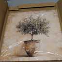 Olive Tree in Vessel Rustic Canvas Wall Art Neutral Botanical Wall Decor Pictures Antique Vintage Potted Plant Poster Prints for Farmhouse Kitchen Dining Room Home Decoration 12x12in Ready to Hang