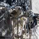 Halloween Skeleton Decoration Prop