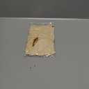 SIMISI RIBBON 24 Pcs Champagne Velvet Bows Christmas Tree Ornaments Vintage Ribbon Bow for Tree Garland Wreath Rustic Crafts Gift Indoor Outdoor Xmas Decorations