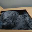 Genuine Sheepskin Rug New Zealand Fluffy Lambskin Rug, Natural Luxury Sheepskin Throw for Bedroom Living Room Children's Room - Premium Area Rug Chair Cover (26 Feet, Black)