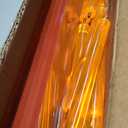 Clear Bookshelf, Acrylic Bookcase with Open Book Shelf for Office Living Room Bedroom (4 Tier Orange)