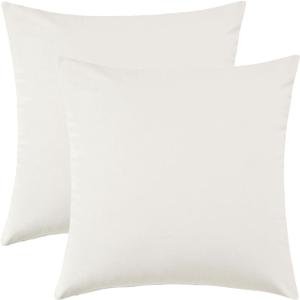 Set of 2 Comfortable Throw Pillow Cover for Bedding, Decorative Accent Cushion Sham Case for Couch Sofa, Soft Solid Velvet with Zipper Hidden - 20"x20", Ivory