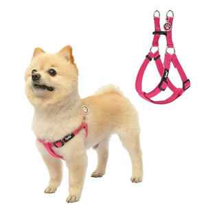 PUPTECK No Pull Dog Harness Soft Adjustable Basic Nylon Step in Puppy Vest Outdoor Walking with ID Tag DeepPink (Small)