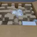 Pet Prime Upgraded Automatic Ball Launcher for Large Dogs,Rechargeable Dog Ball Thrower for Outdoor Exercise & Interactive Play,Adjustable 10-64ft Thrower with 6PCS 2.5" ETPU Balls,1 Dog Whistle