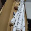 2-Pack 6FT Lighted Birch Tree with Timer, Total 520 LED Tree Lights