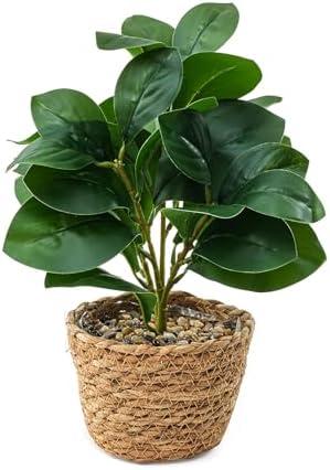 Ewtogift Fake Eucalyptus Plants 14.5 Inches Tall Artificial Eucalyptus Indoor Plants with Green Lifelike Leaves in Black Gray Pot for Home House Outdoor Decor Porch Pots Planter Decorations (Plant A)