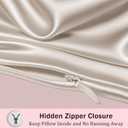 2 x Mulberry Silk Pillow Cases with Zipper, Ultra Smooth Soft Breathable Cooling Pillow Cases for Hot Sleepers, Silk Satin Pillowcase for Hair and Skin, Gifts for Women (Beige, Standard Size, 1 Pack)