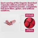 2 x Beet Root Capsules, Organic Beet Root Capsules, 100% Pure Beetroot Powder Supplement for Natural Energy, Non-GMO for Athletic Performance Digestive & Endurance, 60 Capsules, Best By: 06/2027