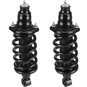 Rear Strut Shock Assembly w/Coil Spring for Honda Element 2003-2011, Replace 171101L 171101R, Left & Right, 2PCS