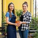 Iron Plant Stem Support, 4Pcs Reusable Sturdy Plant Supports for Indoor Plants Lightweight Plants Accessories Indoor for Bamboo Multi-Stemmed Flowers Thriving Growth