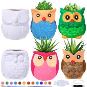 Winlyn 6 Sets DIY Ceramic Owl Succulent Pots Paint Craft Kit, Unpainted Ceramic Bisque Owl Flowerpots with Drainage Hole, Ready to Paint for Kids Classroom Craft Project Activity