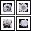 Yaetm 12x12 Picture Frames Black Set of 4, Square Frame Displays 8x8 with Mat or 12 x 12 without Mat, Gallery Wall Frames 12x12 for Wall Mounted (4 Pack, Black) (12"x12", 4 pack)