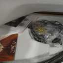 Modern Crystal Entryway Chandelier, Globe D28"