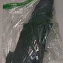 Moss Table Runner Dried Moss Roll for Crafts Fairy Gardens Wedding Woodland Decor 12" x 71" Preserved Green Moss Mat for Table Decoration Carpet Grass Wall 30x180cm