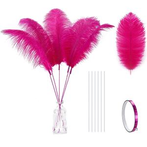 Holmgren Hot Pink Ostrich Feathers - 20pcs Making Kit 22 Inch Ostrich Feathers Bulk for Vase, Floral Arrangement, Home Wedding Party Centerpieces and Easter Gatsbi Decorations
