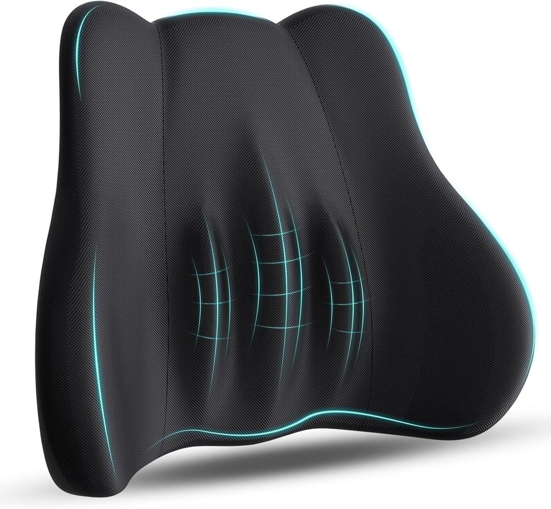 kasney Lumbar Support Pillow, Memory Foam Lumbar Pillow for Lower Back Pain Relief, Back Support Pillow for Office Chair, Car Seat - Black