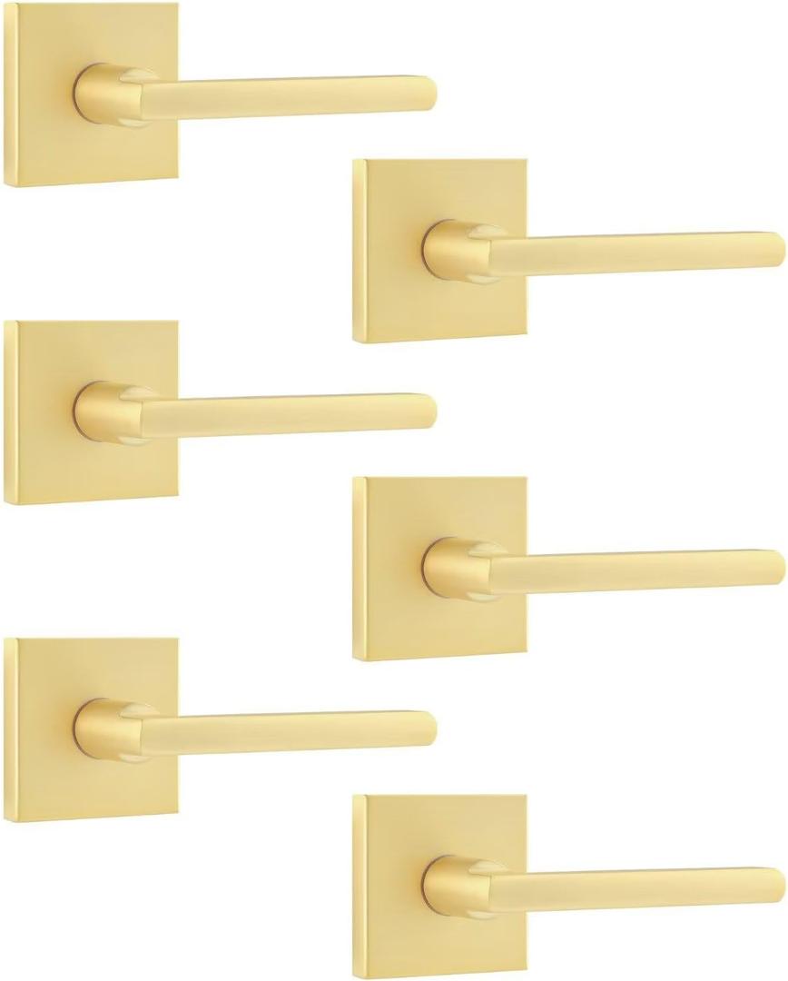 Leydebong 6 Pack Heavy Duty Dummy Door Handle Interior Lever Set, Single Sided Gold Door Knob for Interior Doors, Right/Left Handing