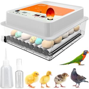 Incubators for Hatching Eggs - 36 pcs | Incubator with Automatic Turning and Humidity Control - Integrated Egg Candler - Okkobi OBI-36 for Hatching Chickens, Ducks & Other Birds (Orange)