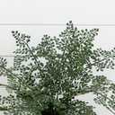 Nearly Natural 4251 Maiden Hair Artificial Plant in Planter Green Small