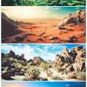 Breling 4 Pcs 48 x 24 Inch Reptile Habitat Background with Nano Glue Gobi Sun Cactus Stone and Green Tree Fern Stream Terrarium Background Polyester Durable Aquarium Accessories