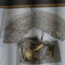 Bestier Modern Gold Pendant Chandelier Crystal Raindrop Lighting Ceiling Light Fixture Lamp for Dining Room Bathroom Bedroom Livingroom entryway 3 E12 Bulbs Required D16 in x H18 in