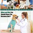 Dotoner Dog Surgery Recovery Suit Dog Suit for Male Female Neuter Anti-Lick Abdominal Wounds Bite Protective Outfit Alternative E-Collar & Cone Breathable Spay Suit for Medium Large Dogs "XS"