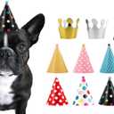 CBM Dog Party Hat Set - Dog Birthday Party - Hats and Crowns Party Time - 11 Pcs
