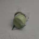 BJPKPK Insulated Water Bottles with Straw, 20 oz Cute Water Bottles with Handle, BPA Free Stainless Steel Metal Jug, Easy Carry Flasks for Men & Women, Light Green