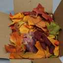 Lvydec 2 Pack Fall Maple Garland - 5.9ft/Strand Artificial Fall Foliage Garlands Assorted Color Leaves Autumn Decor for Home Wedding Halloween Thanksgiving Party