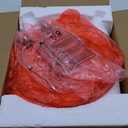 Table Lamps Set of 2 with 3-Way Lighting Modes, USB & Type C Ports - Coastal Modern Style Glass Nightstand Lamps for Living Room & Bedroom Decoration (23.5" H)