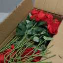 InnoGear 50 Pcs Red Roses Artificial Flowers, Fake Velvet Silk Rose Bulk Faux Flower for Decoration DIY Wedding Centerpieces Proposal Bridal Bouquets Shower Party Home Floral Decor (50, Red)