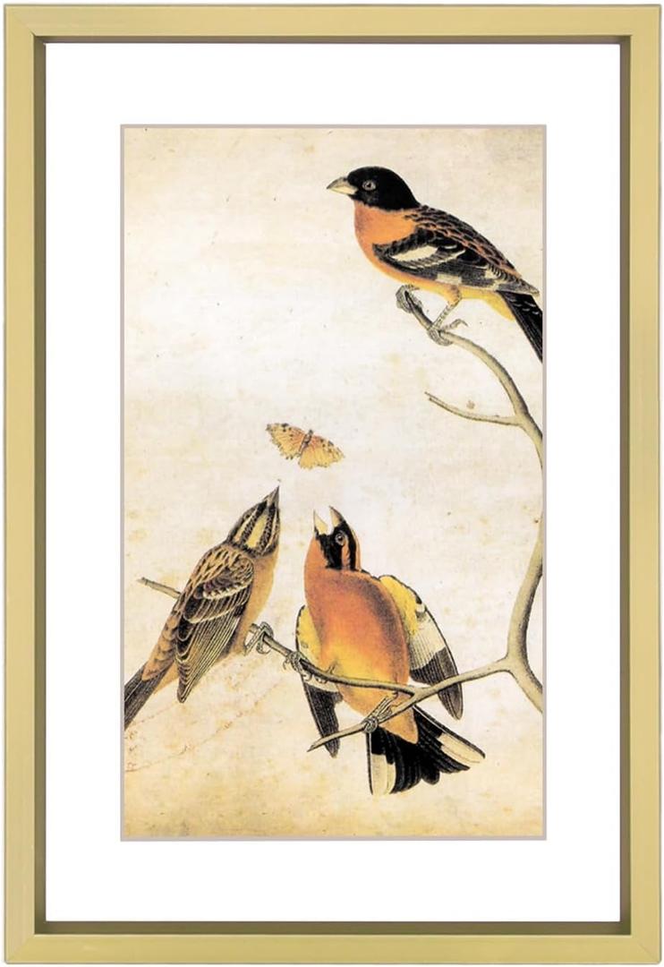 6x8 Picture Frame, Brass Aluminum Metal Photo Frames with HD Glass, Fits 5x7 with Mat or 6 x 8 without Mat, Display for Wall and Table