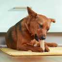 Rachael Ray Nutrish Soup Bones Long Lasting Dog Chews Variety Pack, 22 Count (Pack of 1), BBD: 02/14/2026