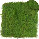 2 Pcs Preserved Sheet Moss for Potted Plants 2 sq.ft. Dried Natural Preserved Moss Mat Green Moss Sheets for Planters Crafts Woodland Decor Garden Party Decorations Wall Art DIY Project Green
