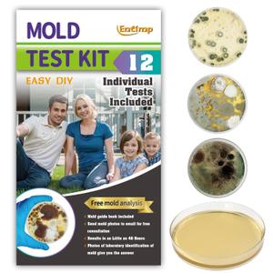 Mold Test Kit for Home Within 12 Individual Tests,DIY Detector at Home, Surface Mold,HVAC,Indoor Air Quality Testing Kits,Black Mold Testing,Includes Detailed Mold Identification Guide and Free Lab