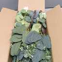 Mixed Eucalyptus Leaves Stems Bulk Artificial Eucalyptus Leaves Sprays Faux Oval Eucalyptus Leaves with White Seeds Stems for Floral Wreath Garland Bouquets Arrangement Wedding Greenery Decoration